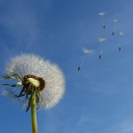 Achtsamkeit - Resilienz - Stressbewältigung